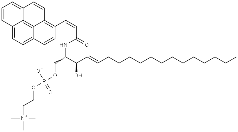 N-(3-(1-pyrene)propenoyl)sphingomyelin Struktur