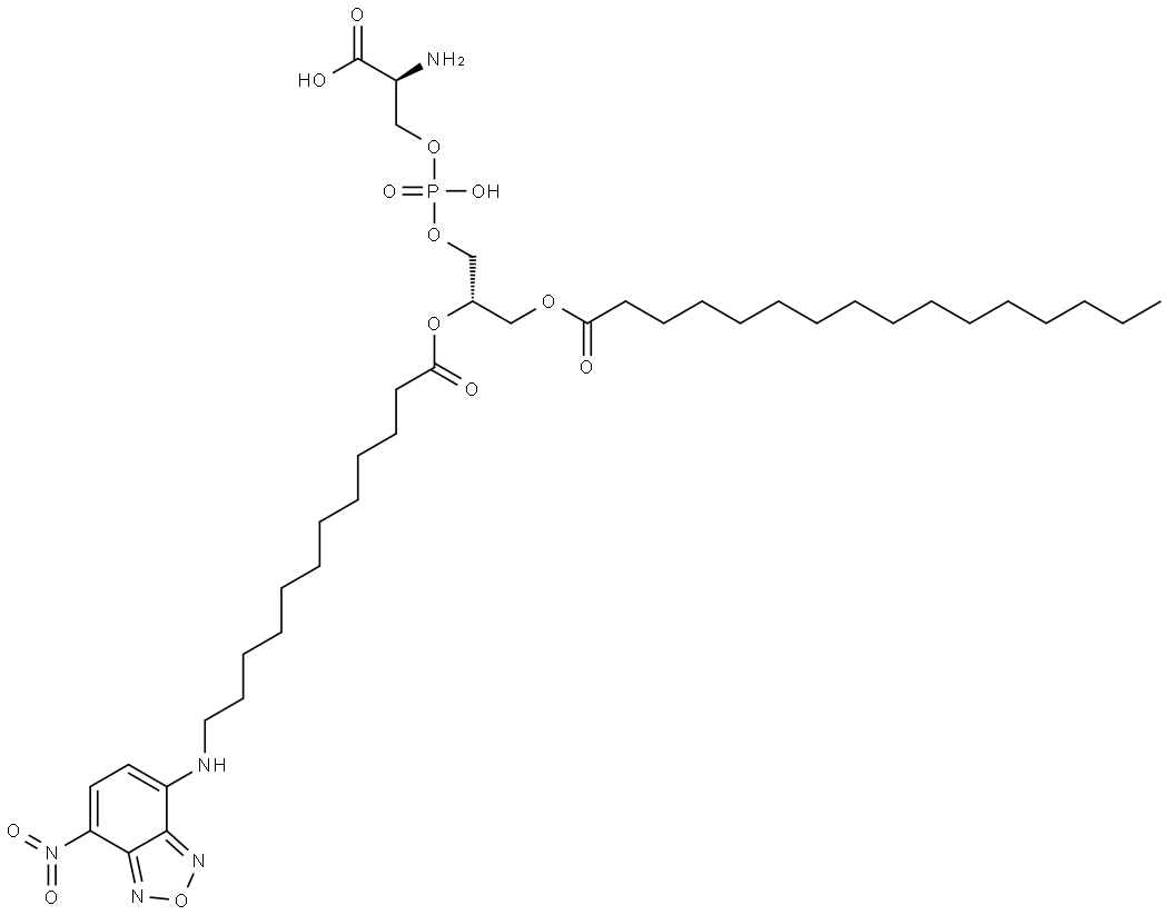 (1-Palmitoyl-2-nbd-aminododecanoyl)phosphatidylserine Struktur