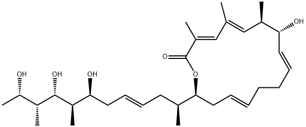 FD 892 Struktur