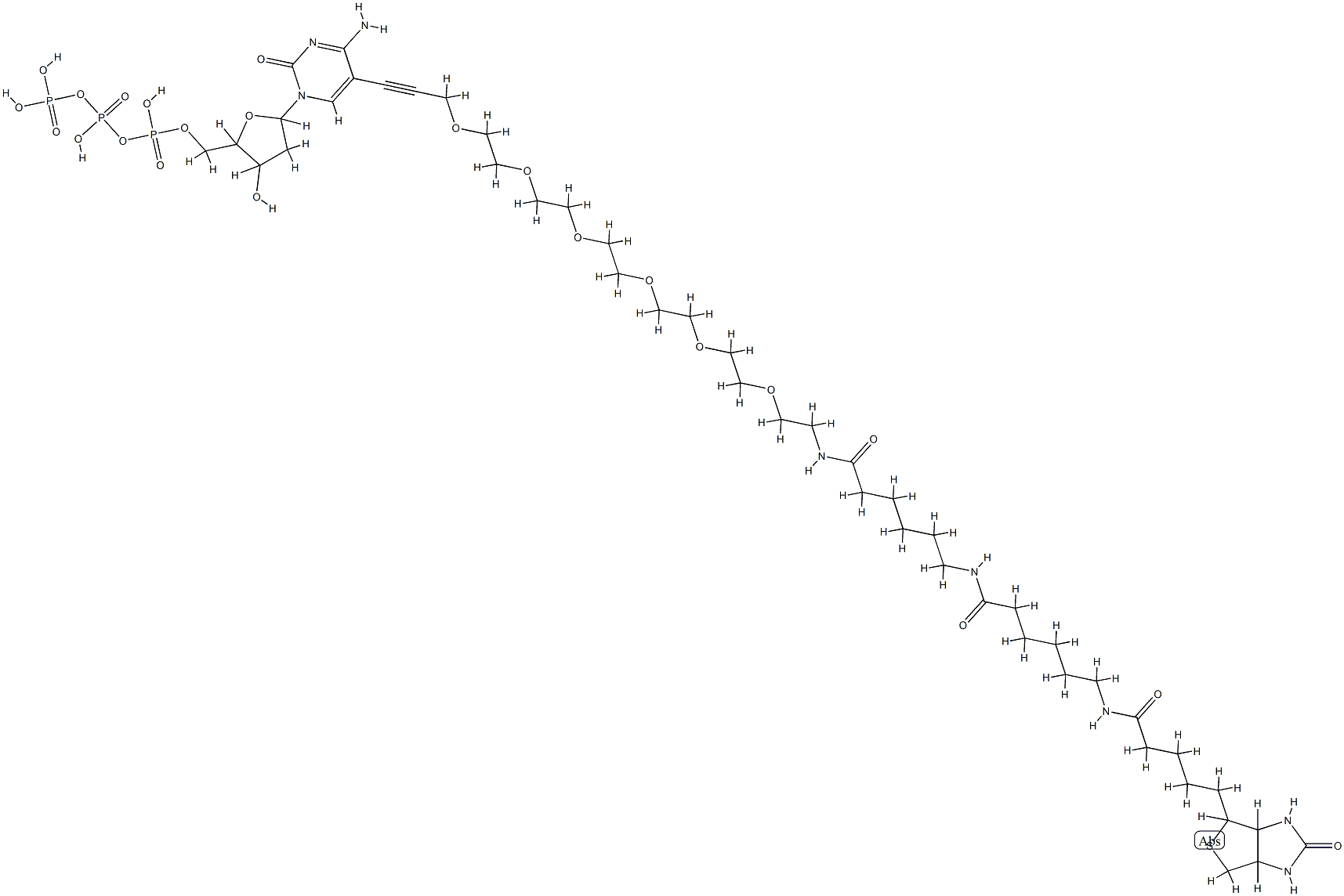 biotin-36-dCTP Struktur