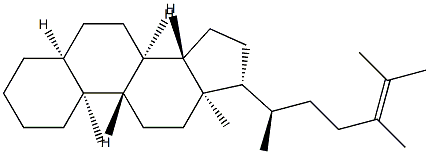 5β-Ergost-24-ene Struktur