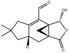 Hyphodontal Struktur