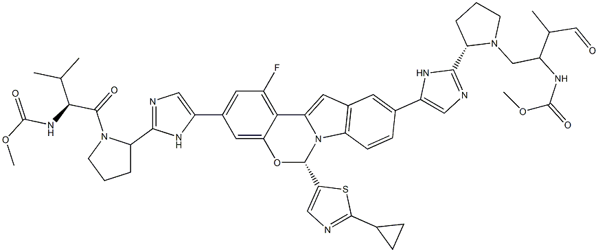 Ortataxel Struktur