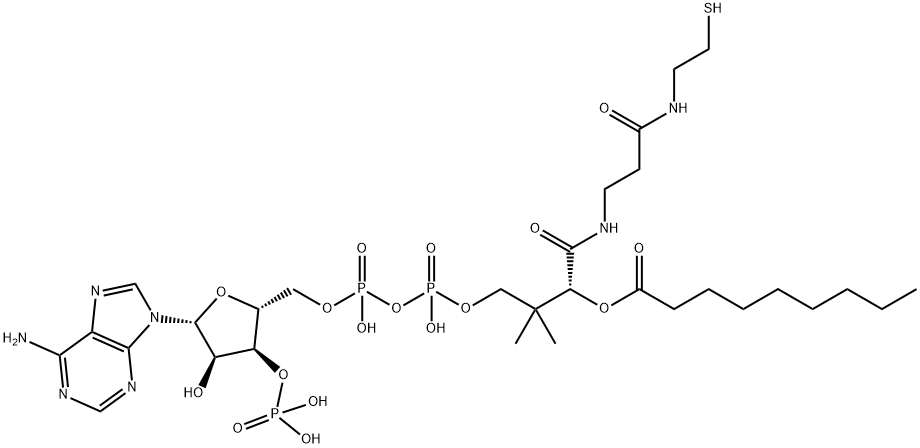 nonanoyl-coenzyme A Struktur