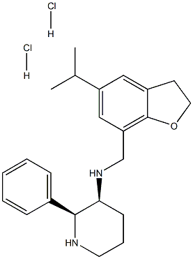 HSP 117 Struktur