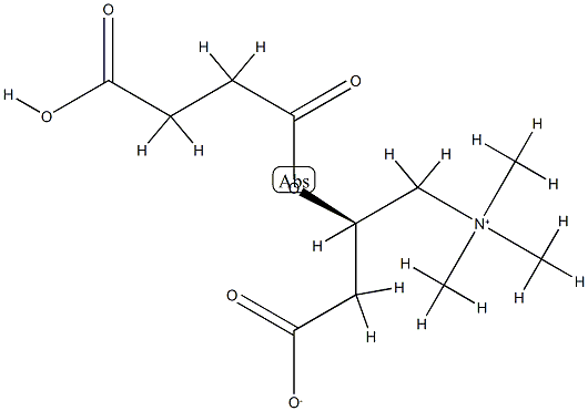 Succinyl Carnitine Chloride Salt Struktur