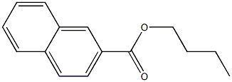 Naphthalene-2-carboxylic acid butyl ester Struktur