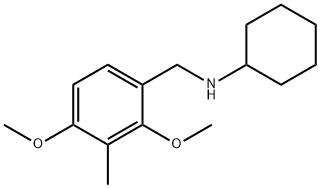 N-(2,4-dimethoxy-3-methylbenzyl)cyclohexanamine Struktur