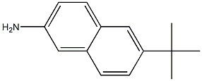 2-Naphthalenamine,6-(1,1-dimethylethyl)-(9CI) Struktur