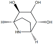 8-Azabicyclo[3.2.1]octane-2,3,4-triol, (1R,2S,3-exo,4R,5S)-rel- (9CI) Struktur