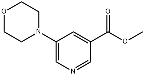 Methyl 5-Morpholinonicotinate Struktur