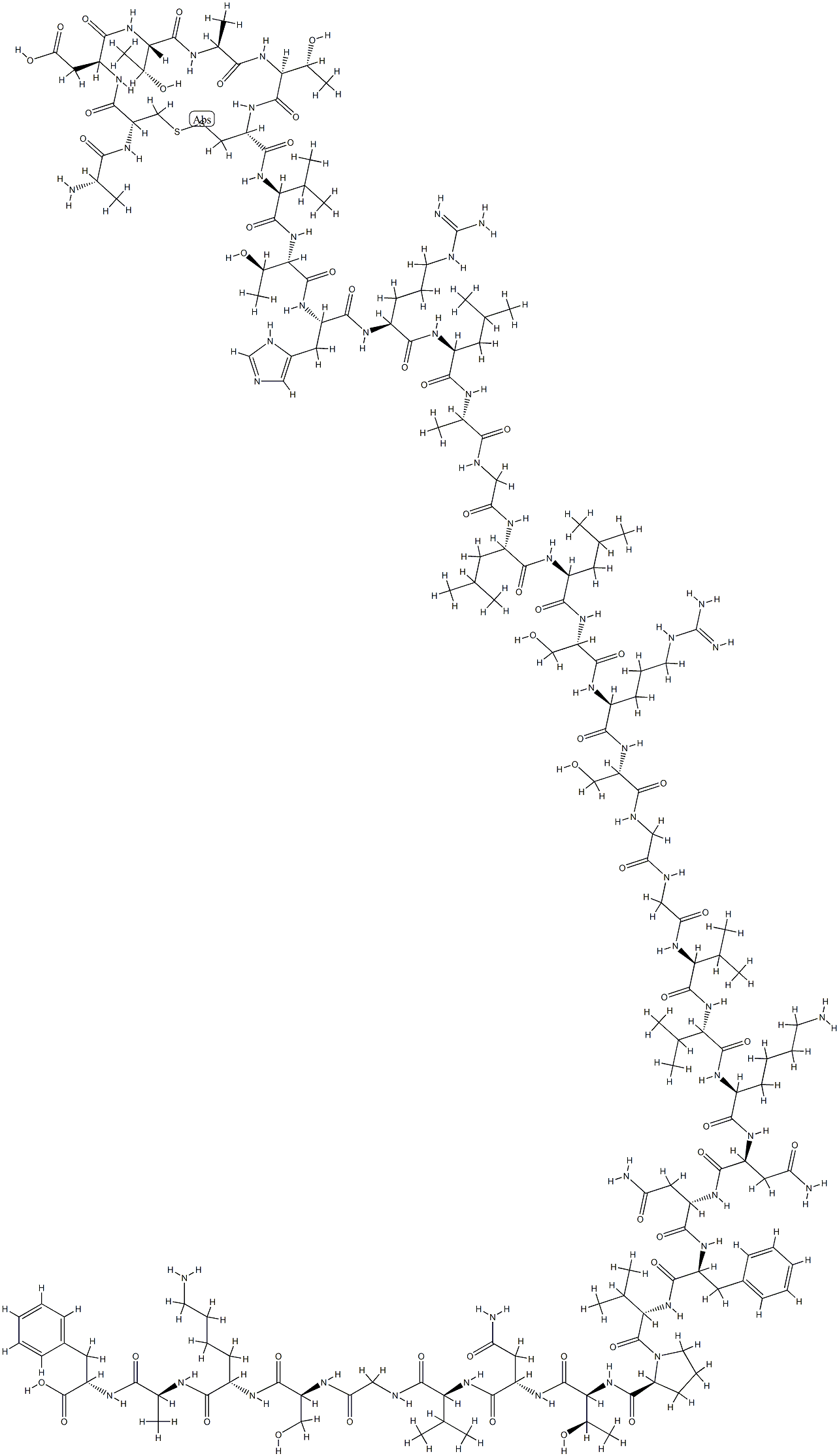 Procalcitonin Struktur