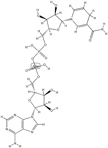 dihydronicotinamide-adenine dinucleotide