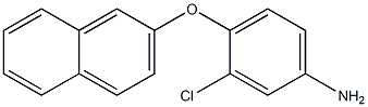 3-chloro-4-(naphthalen-2-yloxy)aniline Struktur