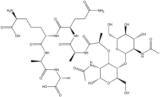 peptidoglycan monomer Struktur