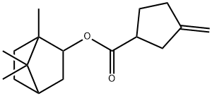 1,7,7-Trimethylbicyclo[2.2.1]heptan-2-yl=3-methylenecyclopentanecarboxylate Struktur