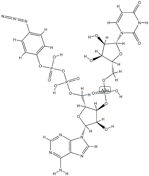 beta-(4-azidophenyl)adenylyl-(3'-5')-uridine 5'-diphosphate Struktur