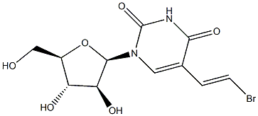 BVAU Struktur