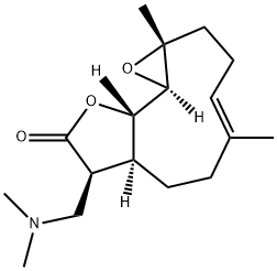 DMAPT Struktur