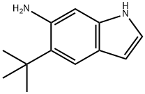 5-(tert-butyl)-1H-indol-6-aMine Struktur