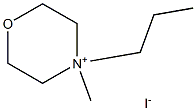 PMMPI Struktur