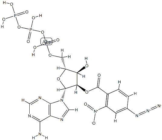 3'(2')-O-(2-nitro-4-azidobenzoyl)adenosine 5'-triphosphate Struktur