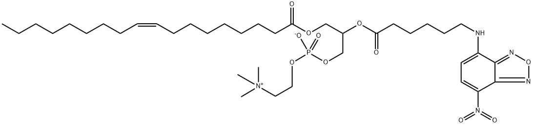 1-oleoyl-2-(7-(4-nitrobenzo-2-oxa-1,3-diazole))-6-aminocaproylphosphatidylcholine Struktur