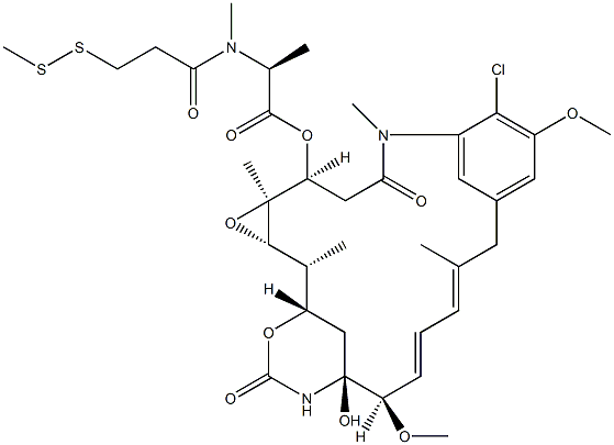 DM1-Sme