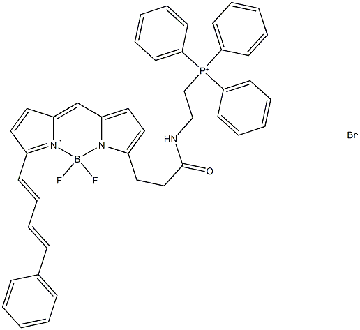 MitoPerOx Struktur