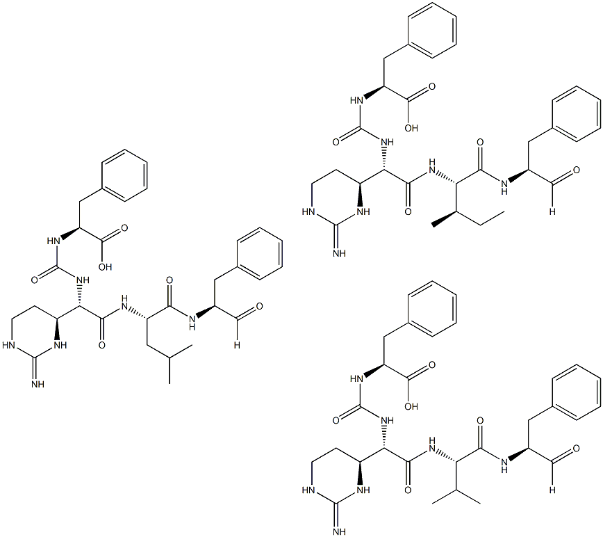 CHYMOSTATIN Struktur