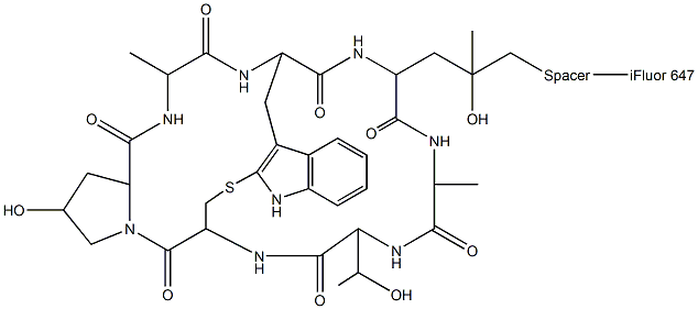 Phalloidin-iFluor 647 Conjugate Struktur