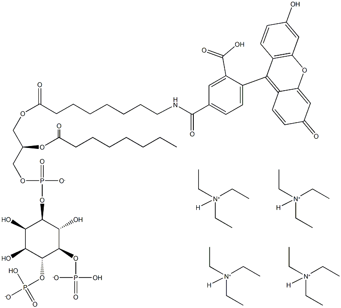 PtdIns-(4,5)-P2-fluorescein (ammonium salt) Struktur