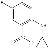 N-Cyclopropyl-4-fluoro-2-nitroaniline Struktur