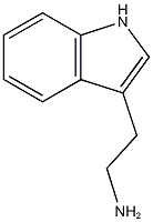 2-(1H-indol-3-yl)ethan-1-amine Struktur