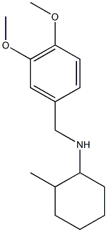 N-[(3,4-dimethoxyphenyl)methyl]-2-methylcyclohexan-1-amine Struktur