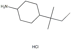 4-(1,1-DIMETHYLPROPYL)CYCLOHEXANAMINE HYDROCHLORIDE Struktur