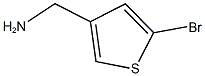 (5-bromothien-3-yl)methylamine Struktur