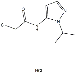 2-chloro-N-(1-isopropyl-1H-pyrazol-5-yl)acetamide hydrochloride Struktur