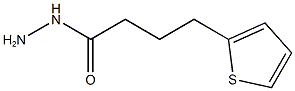 4-(thiophen-2-yl)butanehydrazide Struktur