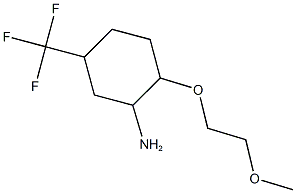 2-(2-METHOXYETHOXY)-5-(TRIFLUOROMETHYL)CYCLOHEXANAMINE Struktur