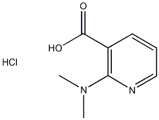 2-(dimethylamino)nicotinic acid hydrochloride Struktur