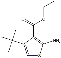 ethyl 2-amino-4-tert-butylthiophene-3-carboxylate Struktur