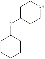 4-(cyclohexyloxy)piperidine Struktur