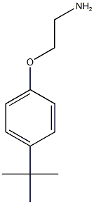 1-(2-aminoethoxy)-4-tert-butylbenzene Struktur