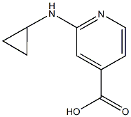 2-(cyclopropylamino)pyridine-4-carboxylic acid Struktur