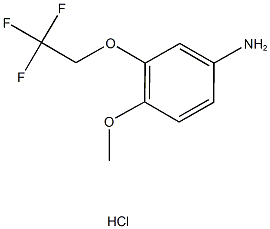 4-methoxy-3-(2,2,2-trifluoroethoxy)aniline hydrochloride Struktur