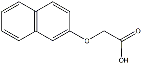 2-(naphthalen-2-yloxy)acetic acid Struktur