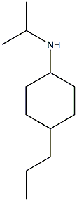 N-(propan-2-yl)-4-propylcyclohexan-1-amine Struktur