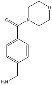 [4-(morpholin-4-ylcarbonyl)phenyl]methanamine Struktur