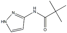 N-(1H-pyrazol-3-yl)pivalamide Struktur